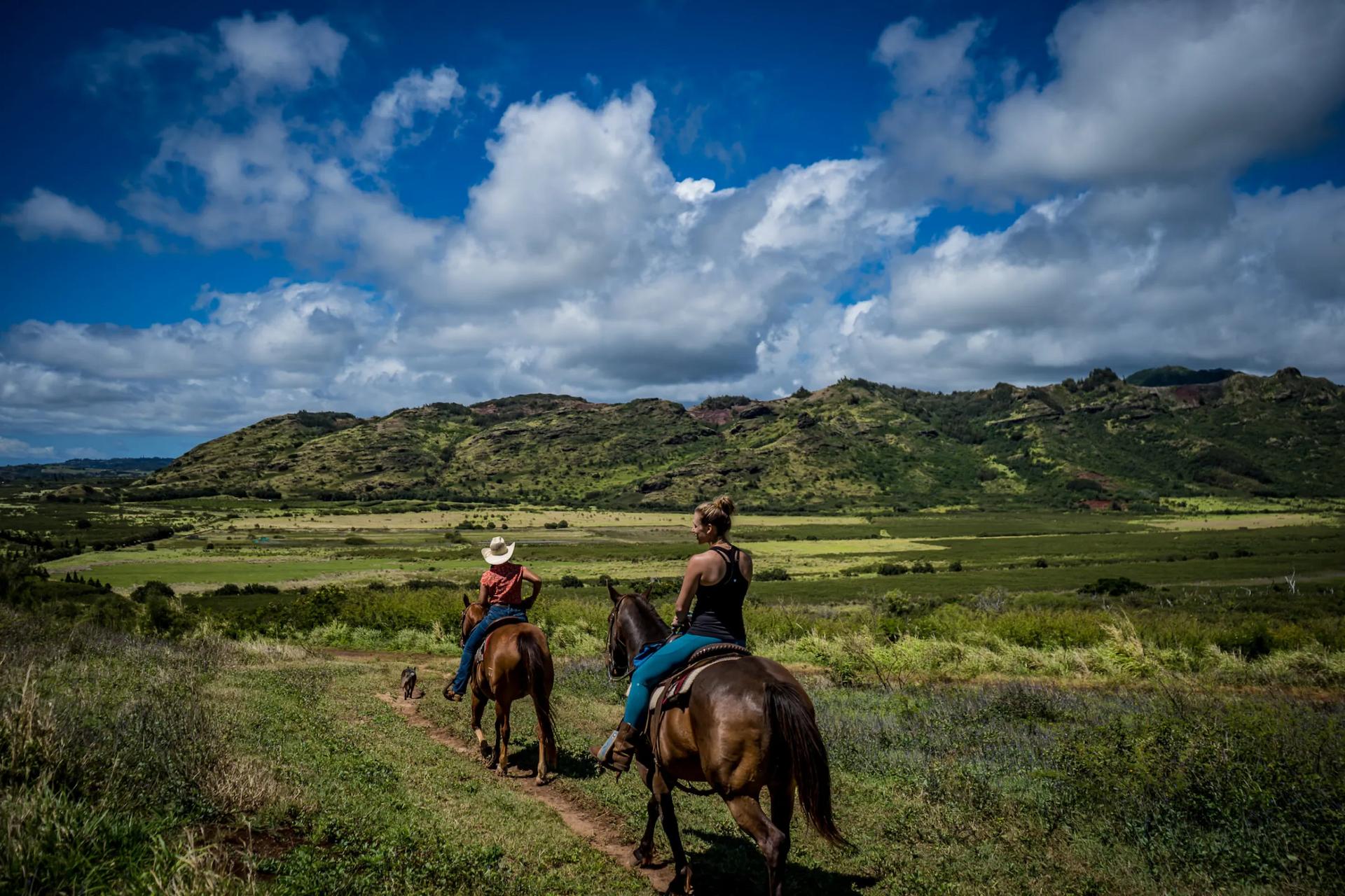 Riding Tours
